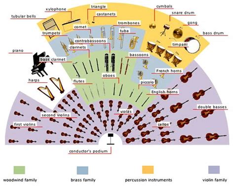 orchestra instruments - Google Search | Instruments | Pinterest | Orchestra, Music education and ...