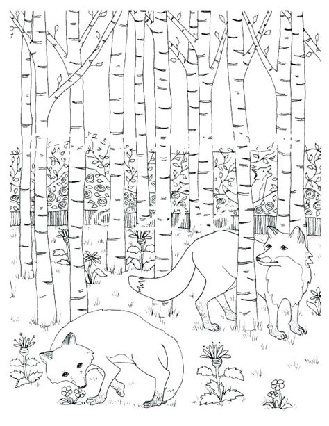 Forest Habitat Coloring Pages at GetColorings.com | Free printable colorings pages to print and ...