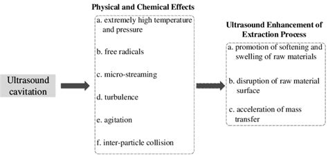 Mechanism about ultrasound-assisted extraction process. | Download ...