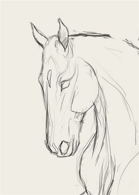 Realistic Horse Drawing Face - Just Call Me