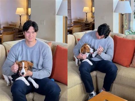 WATCH: Shohei Ohtani wins 2nd unanimous American League MVP award, celebrates with his pet dog ...