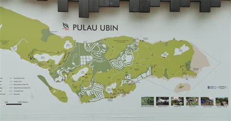 The Complete Guide for Exploring Pulau Ubin, Singapore - Trevallog