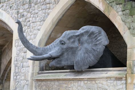 Regency History: A Regency History guide to the Royal Menagerie at the Tower of London