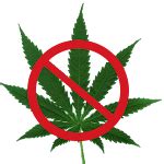 The side effects of weed you should know - how to quit smoking weed forever | Your Best Guide