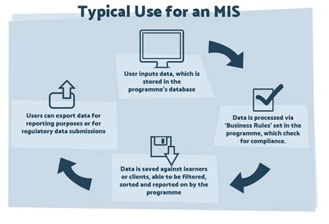 'What is a Management Information System?' - CogniSoft