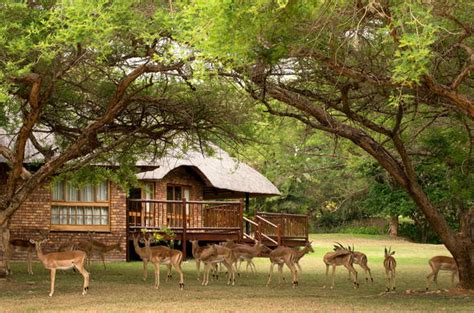 Kruger Park Lodge - Accommodation Near Kruger Park