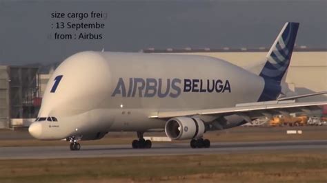 Airbus Beluga Xl Vs Boeing Dreamlifter : Boeing Dreamlifter Vs Airbus ...