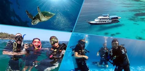 PADI Basic Scuba Diving Course At Dubai