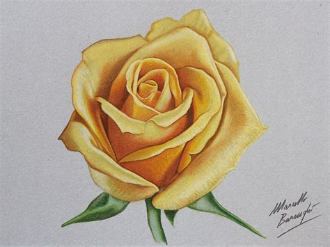 Watch on YouTube how I draw this yellow rose http://youtu.be ...