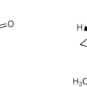 5 Chemical structure of α-thujone and β-thujone found in A. absinthium ...