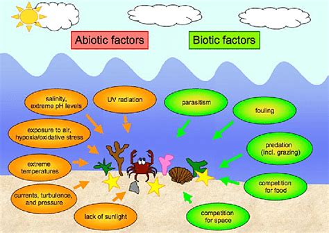 Ocean Ecosystem Biotic And Abiotic Factors