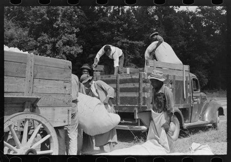 Activity cotton truck, Lehi, Arkansas | Free Photo - rawpixel