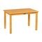 24in x 36in Rectangular Hardwood Table with 22in Legs, Kids Furniture | Michaels