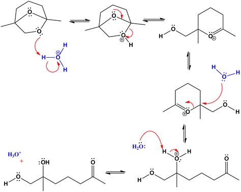 organic chemistry - Hydrolysis of cyclic acetal - Chemistry Stack Exchange