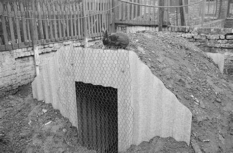 How families lived in their WWII backyard bomb bunkers | Air raid ...