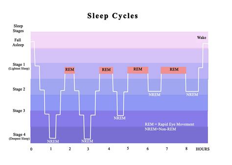 How To Stop Being Tired All The Time | Alexander Young