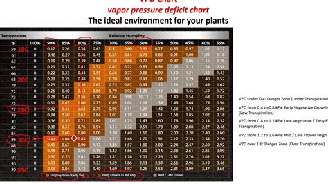 VPD chart #spiderfarmer - YouTube