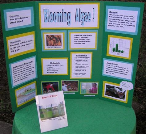 How to Make a Great Science Fair Board | Science fair projects, Science ...