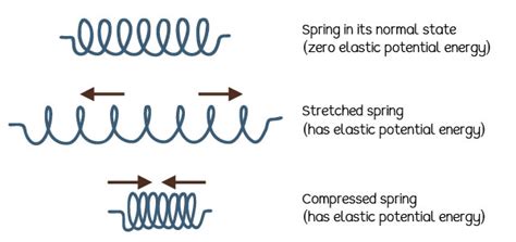 What Is Elastic Energy Definition Examples Formulas Eschool - Riset