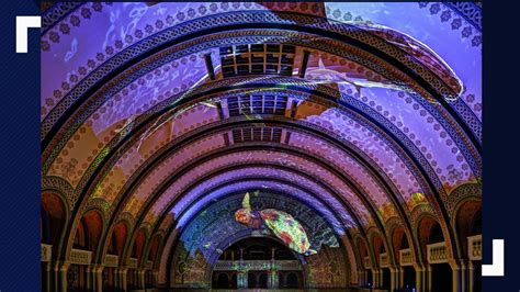 A first look inside the new St. Louis Aquarium at Union Station | ksdk.com