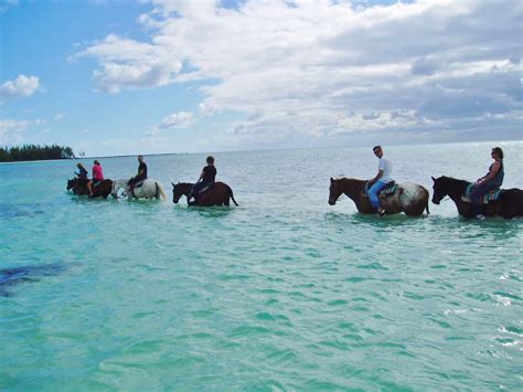 Freeport Horseback Riding - Jamaica Cruise Excursions