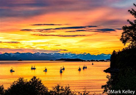 Seiners, Amalga Harbor, Juneau, Alaska #3423 | Mark Kelley