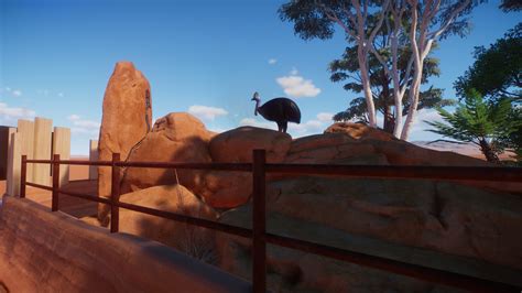 My Cassowary Habitat | Frontier Forums