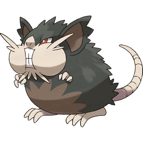 Alolan Raticate | Sorcerers Wiki | Fandom