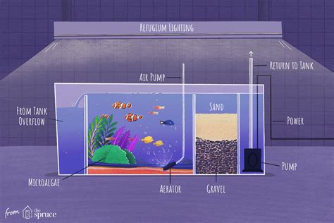 Comment fonctionne un filtre à décantation pour aquarium