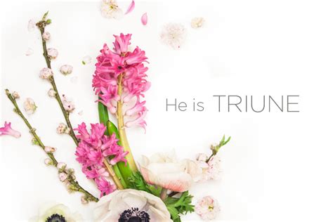 Attributes of God | He is Triune - Lifeway Women