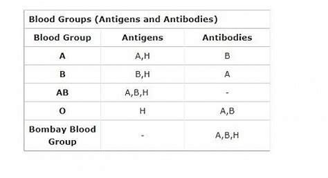 Bombay Blood Group System and Para Bombay Blood Types - Jotscroll