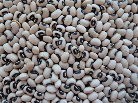 Black-Eyed Peas, Tradition, and Luck – Living The Present Moment