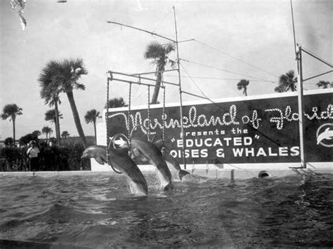 Florida Frontiers: 'Marineland of Florida'