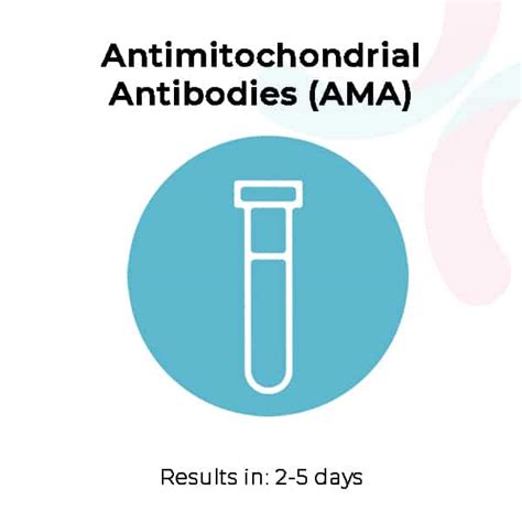 Medical Diagnosis - Antimitochondrial Antibodies (AMA)