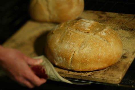 Brick oven-style bread | Recipe | Bread, Brick oven, Recipes