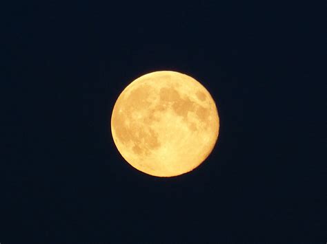 Full Moon Free Stock Photo - Public Domain Pictures