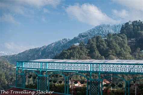 Mussoorie: Winter Hike to Lal Tibba | The Travelling Slacker