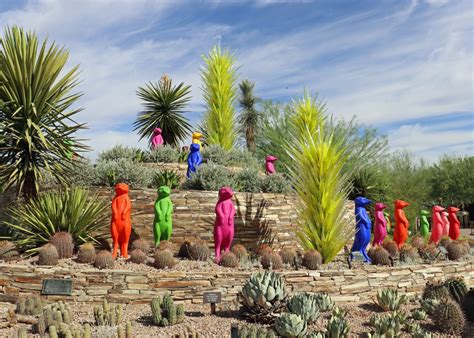 Botanical Garden In Phoenix Arizona | Fasci Garden