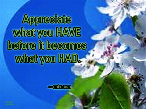 Cute in Quotes: Appreciation Quotes