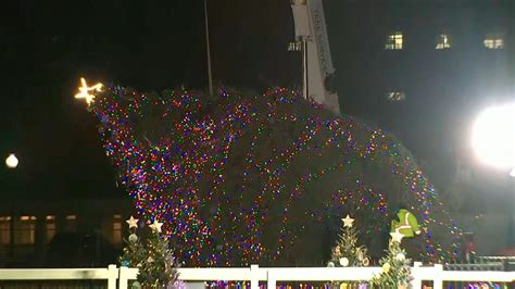 White House Christmas tree winched back into place after being blown over by high winds | US ...