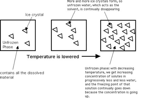 Structure from the Ice crystals | Food Science