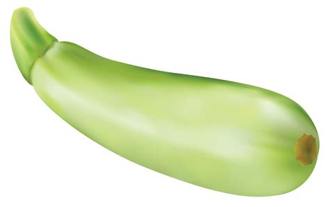 Zucchini clipart small, Zucchini small Transparent FREE for download on ...