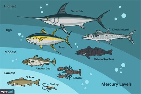 The Best Types of Fish Ranked by Mercury Content