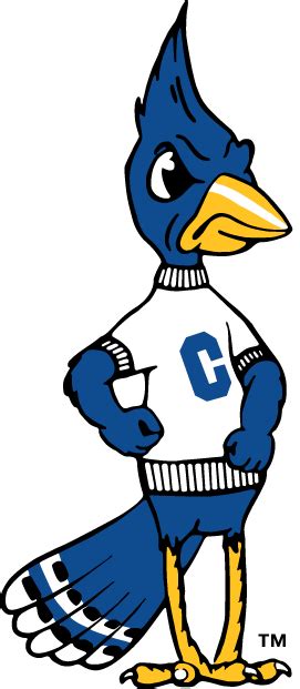 Creighton Bluejays Alternate Logo (1999) - A blue Jay in white shirt ...