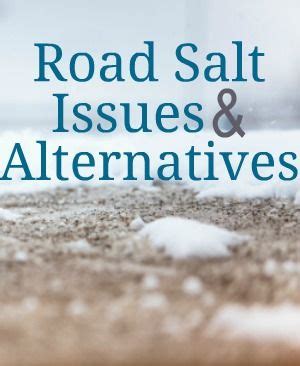 Road Salt Issues and Alternatives | DiscountFilters.com | Salt, Salt alternatives, Alternative