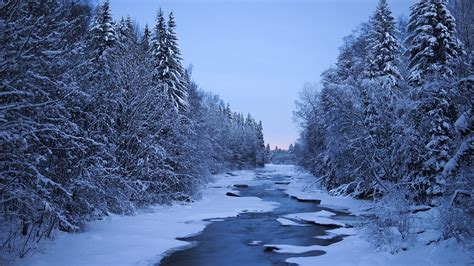 Pictures Finland Winter Nature Snow Forests Rivers Trees 1920x1080