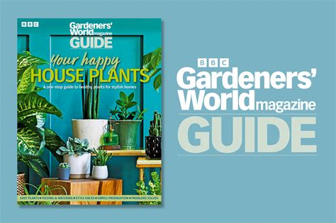 How to Grow Welsh Onions | BBC Gardeners World Magazine