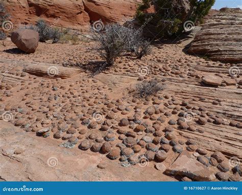 Pebble rock garden stock image. Image of neat, garden - 16710627