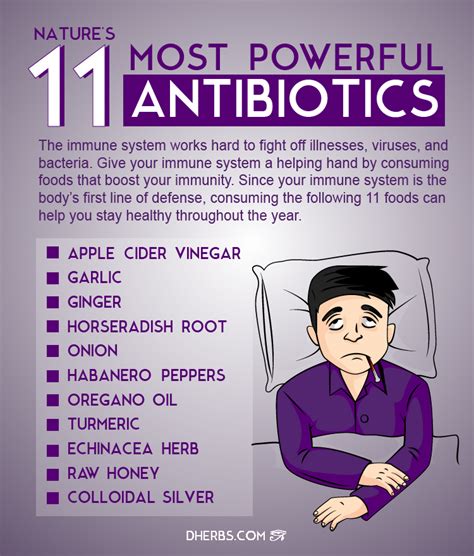 Infographic: Nature’s 11 Most Powerful Antibiotics | Dherbs - Herbal Supplements, Herbal ...