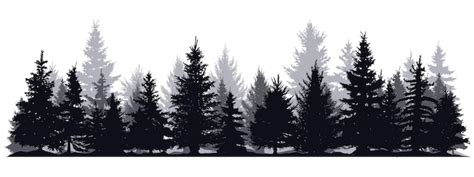 Premium Vector | Pine trees silhouettes Evergreen coniferous forest ...